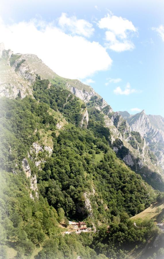 Hotel Puente Vidosa Amieva Dış mekan fotoğraf